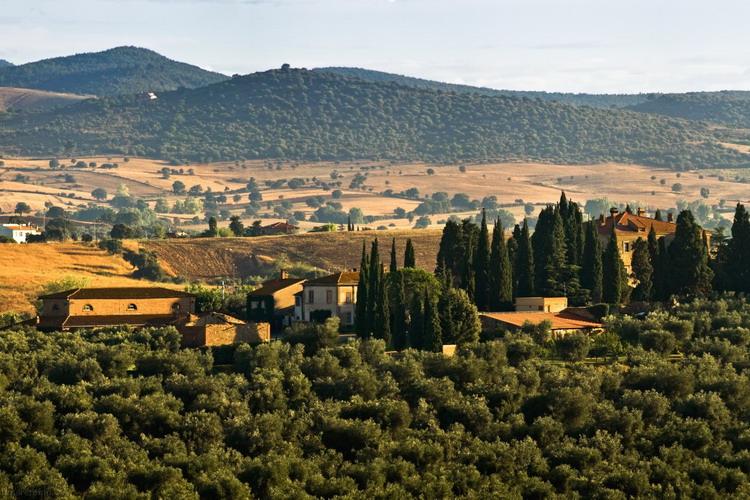 Tenuta Poggio di Cavallo