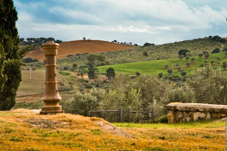 Tenuta Poggio di Cavallo