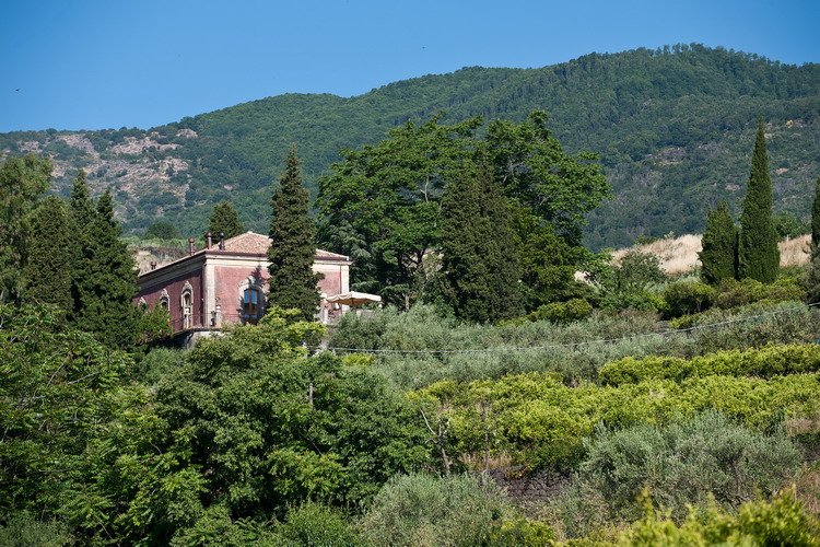 Monaci delle Terre Nere
