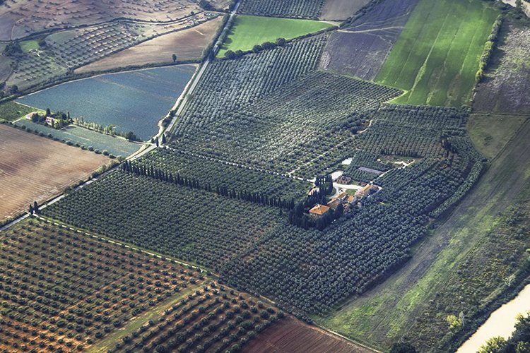 Tenuta Poggio di Cavallo