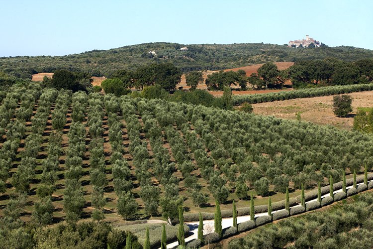 Locanda Rossa Charme Hotel