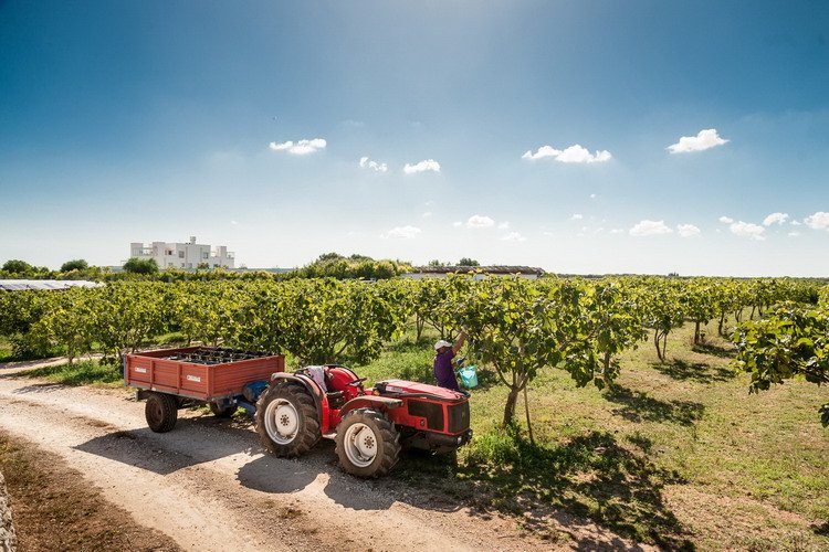 Furnirussi Tenuta Puglia