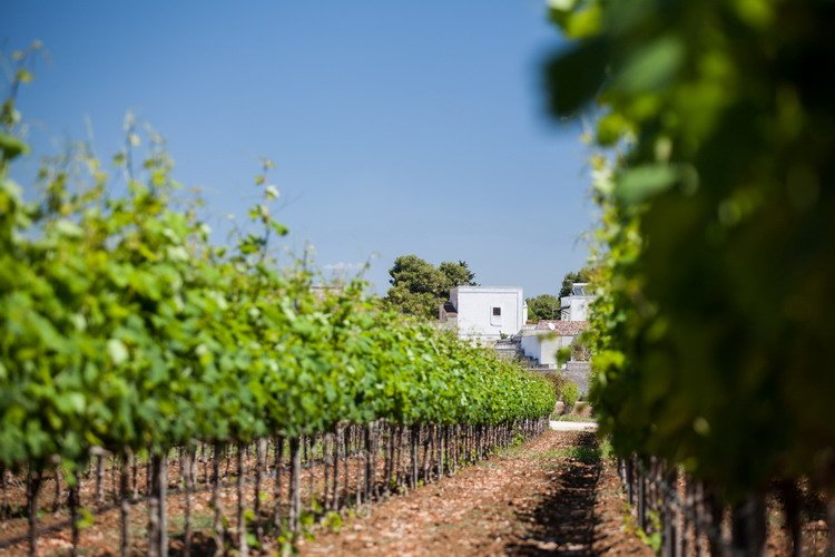 Tenuta Barca Di Emera Puglia