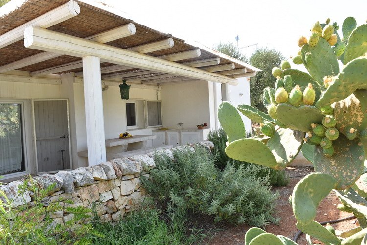 Trullo True Love