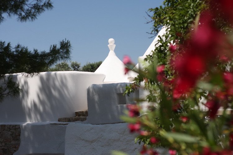 Trullo True Love