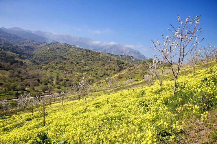 Agriturismo Bergi