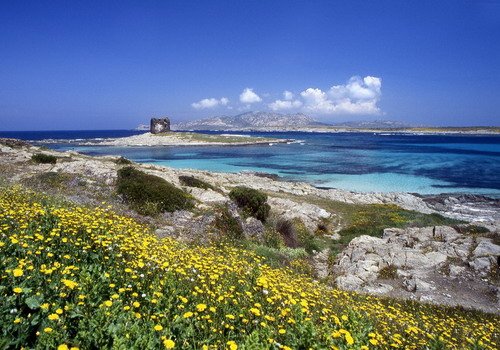 Sardinia Stintino