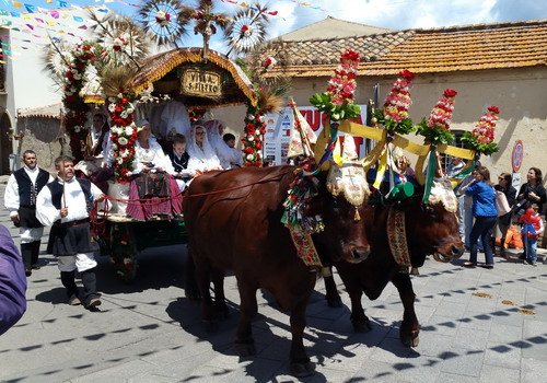 Sardinia Sant Efisio