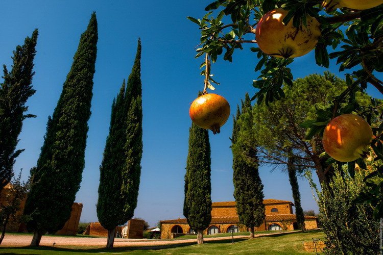 Fly Drive Toscane
