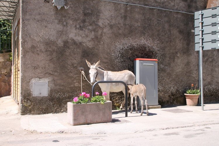 Sardinie Autorondreis