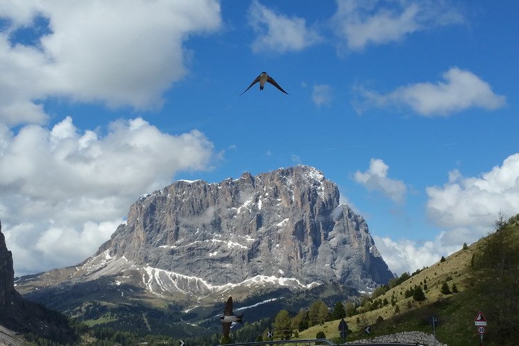 Fly Drive Trentino Zuid-Tirol