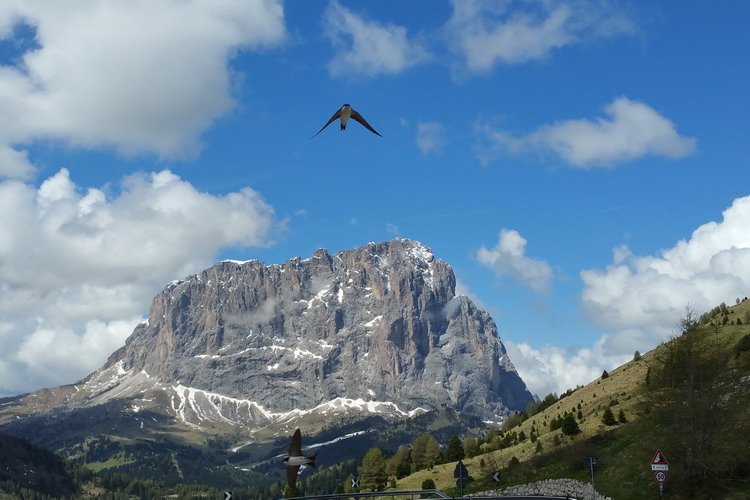 Rondreis Trentino Zuid-Tirol