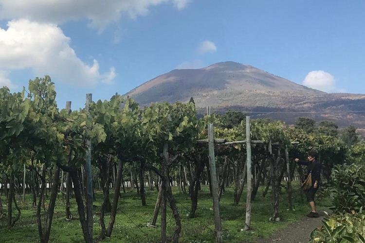 Caruso Place - Vesuvius